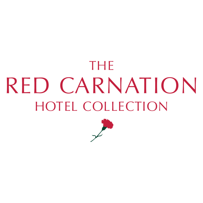 Red Carnation Photo
